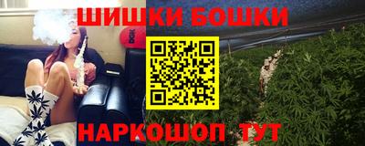 индика Будённовск