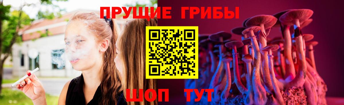 Псилоцибиновые грибы Psilocybe Рязань