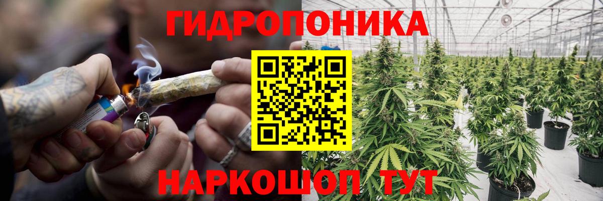 Конопля конопля Рязань